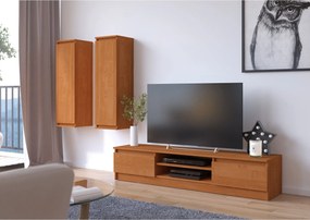 TV stolík Ronon 160 cm jelša