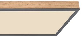 Globo 416080WD5-CCT - LED Stmiev. stropné svietidlo DORO LED/36W/230V 2700-6500K + DO hnedá