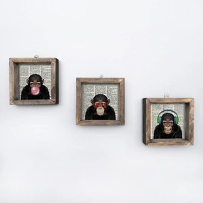 Súprava obrazov Šimpanz 15x15 cm 3 ks