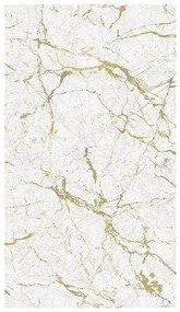 Koberec Frisee Troy 0,8/1,5 31821-775 béžová/zlatá