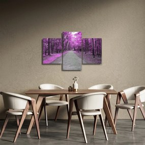 Obraz - Cesta parkom (90x60 cm)