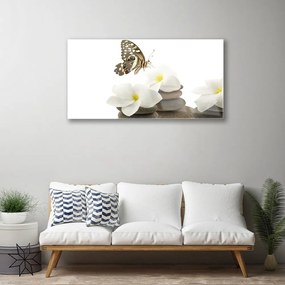 Obraz plexi Motýľ kvet kamene rastlina 100x50 cm