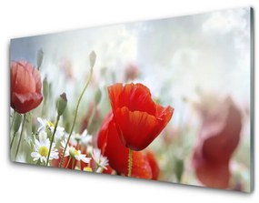 Obraz plexi Kvety plátky rastlina 120x60 cm