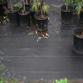 Čierna agrotextília proti burine 1 × 50 m, 70 g/m²