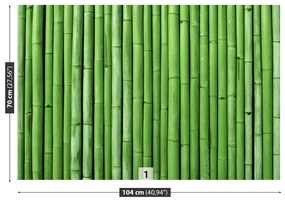 Fototapeta Vliesová Bambusová zelená 208x146 cm