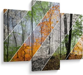 Obraz - Striedanie ročných období (90x60 cm)