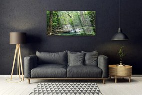 Obraz plexi Lesné les príroda 100x50 cm
