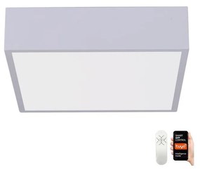 Immax Neo Immax NEO 07238L - LED Stmievateľné stropné svietidlo CANTO 22W/230V biela Tuya +DO IM1243