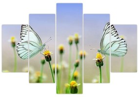 Obraz motýľov na kvetine (150x105 cm)