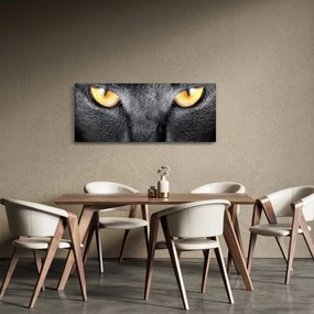 Obraz - Blízky portrét mačky (120x50 cm)