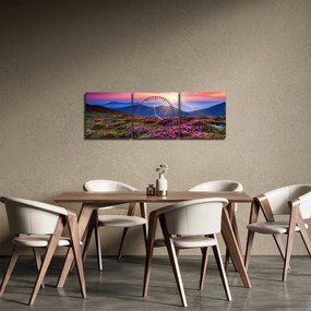 Obraz - Horská rozkvitnutá krajina (s hodinami) (90x30 cm)