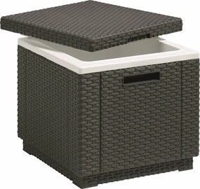 Chladiaca taška Keter Ice Cube 40 L, grafitová