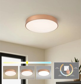 BRILAGI - LED stropné svietidlo POOL LED/48W/230V 3000/4000/6000K priemer 40 cm bronzové
