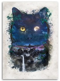 Gario Obraz na plátne Čierna mačka v noci - Barrett Biggers Rozmery: 70 x 100 cm