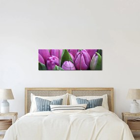 Obraz - kvety tulipánov (s hodinami) (90x30 cm)