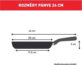 Antikoro panvica s nepriľnavým povrchom ø 24 cm Intuition B8170444 – Tefal