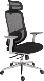 Kancelárska ergonomická stolička Neoseat ALLY WHITE — čierna / biela, nosnosť 150 kg