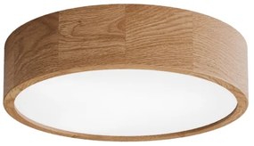 Kúpeľňové stropné svietidlo CLEO 3xE27/24W/230V IP54 pr. 37,5 cm dub