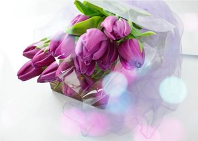 Sklenený obraz - kytice tulipánov (70x50 cm)
