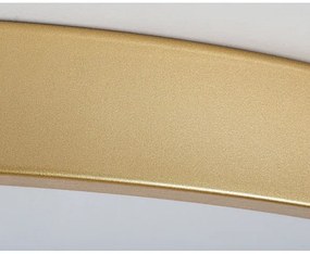 Rabalux 71038 - Stmievateľné LED stropné svietidlo TESIA LED/60W/230V 3000-6000K + diaľkový ovládač