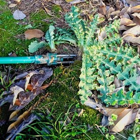 Garden Line KOSIČKA NA BURINU 100 x 22 x 2,3 CM *4167