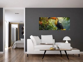 Obraz - Tukan (120x50 cm)
