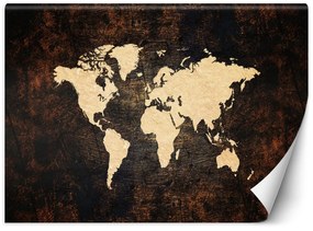 Gario Fototapeta Mapa sveta v hnedej farbe Materiál: Vliesová, Rozmery: 350 x 245 cm