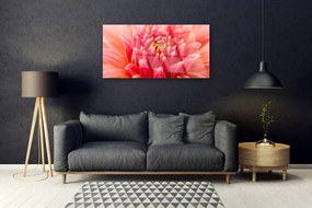Skleneny obraz Kvet rastlina príroda 125x50 cm