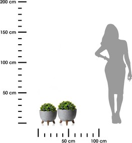 PLASTOVÝ KVETINÁČ ROSA LINEA SADA 2KS 15X24,3 CM+18,3X29,2 CM IMITÁCIA BETÓNU SIVÁ