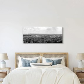 Obraz - Strechy domov v Paríži (120x50 cm)