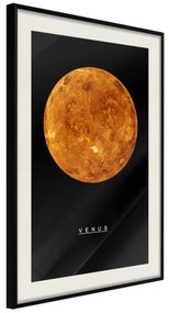 Artgeist Plagát - Venus [Poster] Veľkosť: 30x45, Verzia: Čierny rám s passe-partout