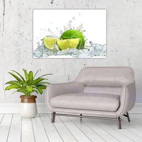 Obraz - Limetky (90x60 cm)