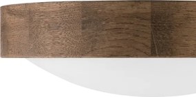 Brilagi – LED RGBW stmievateľné stropné svietidlo CARVALHO SLIM 1×E27/15W/230V Wi‑Fi v dekore dub, priemer 27 cm