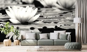 Samolepiaca fototapeta čiernobiely lotosový kvet - 150x100
