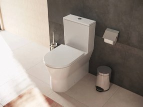 Hansgrohe AddStoris, držiak na WC kefu nástenný, chrómová, HAN-41752000