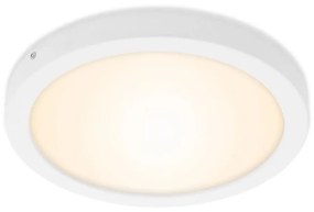 Briloner 7141-016 - LED Stropné svietidlo FIRE LED/21W/230V