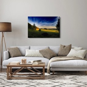 Obraz - Horská lúka (90x60 cm)