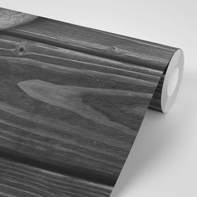 Samolepiaca fototapeta čiernobiele kamene na dreve - 150x100