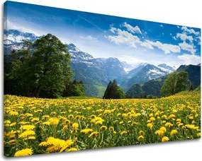 Obraz na stenu KRAJINA KR036E11