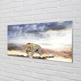 Obraz plexi Panter mraky 140x70 cm