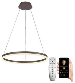 Brilagi - LED Stmievateľný luster na lanku CIRCLE LED/42W/230V 3000-6500K hnedá + DO BG0787