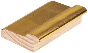 DANTIK rám na obraz 40x50 | Oro Fino zlatá (Plexi Čiré)