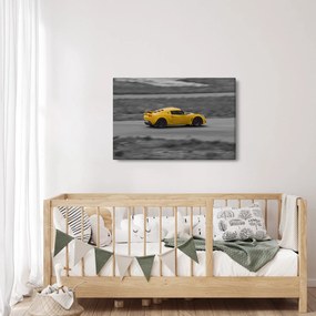 Obraz - Rýchle auto (90x60 cm)