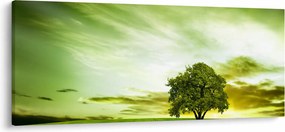 Obraz - Strom života (120x50 cm)