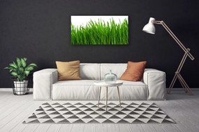 Obraz na plátne Tráva rastlina príroda 120x60 cm