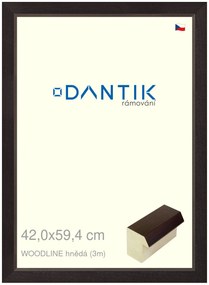 DANTIK rám na obraz 42x59,4 | WOODLINE hnědá (Plexi Čiré)