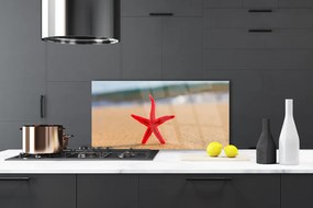 Nástenný panel  Pláž hviezdice umenie 100x50 cm