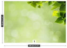 Fototapeta Vliesová Zelené listy 104x70 cm