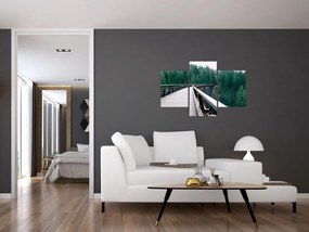 Obraz - Most k vrcholkom stromov (90x60 cm)