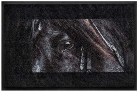 Premium rohožka- zvieratá - čierny kôň (Vyberte veľkosť: 75*50 cm)